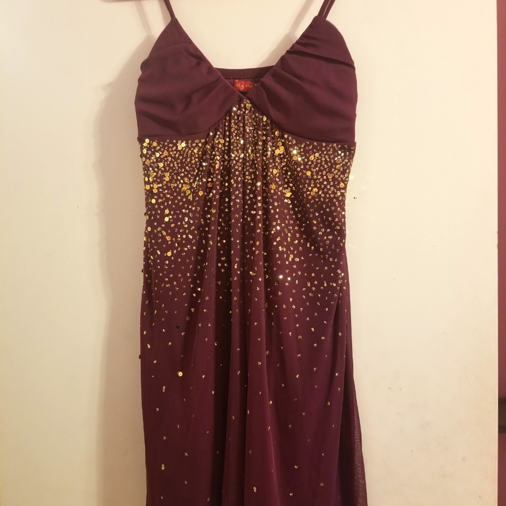 Eggplant Gold Sequin Dress